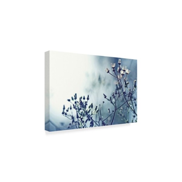 Incredi 'White Flowers Light' Canvas Art,12x19